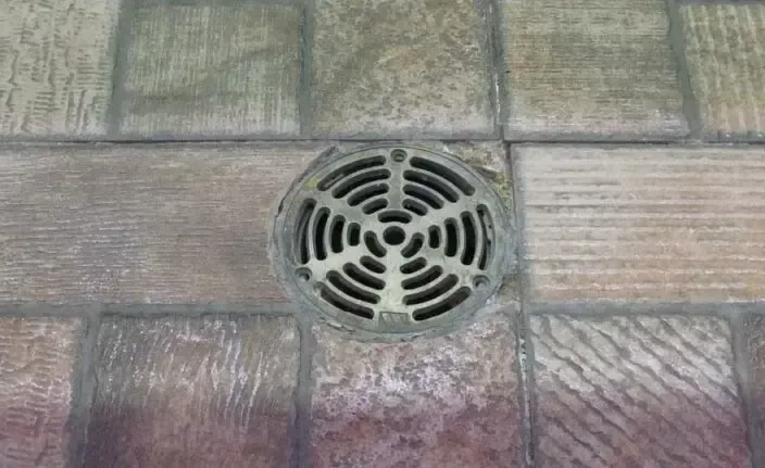 Floor drain grate, where a sewer backup often shows first